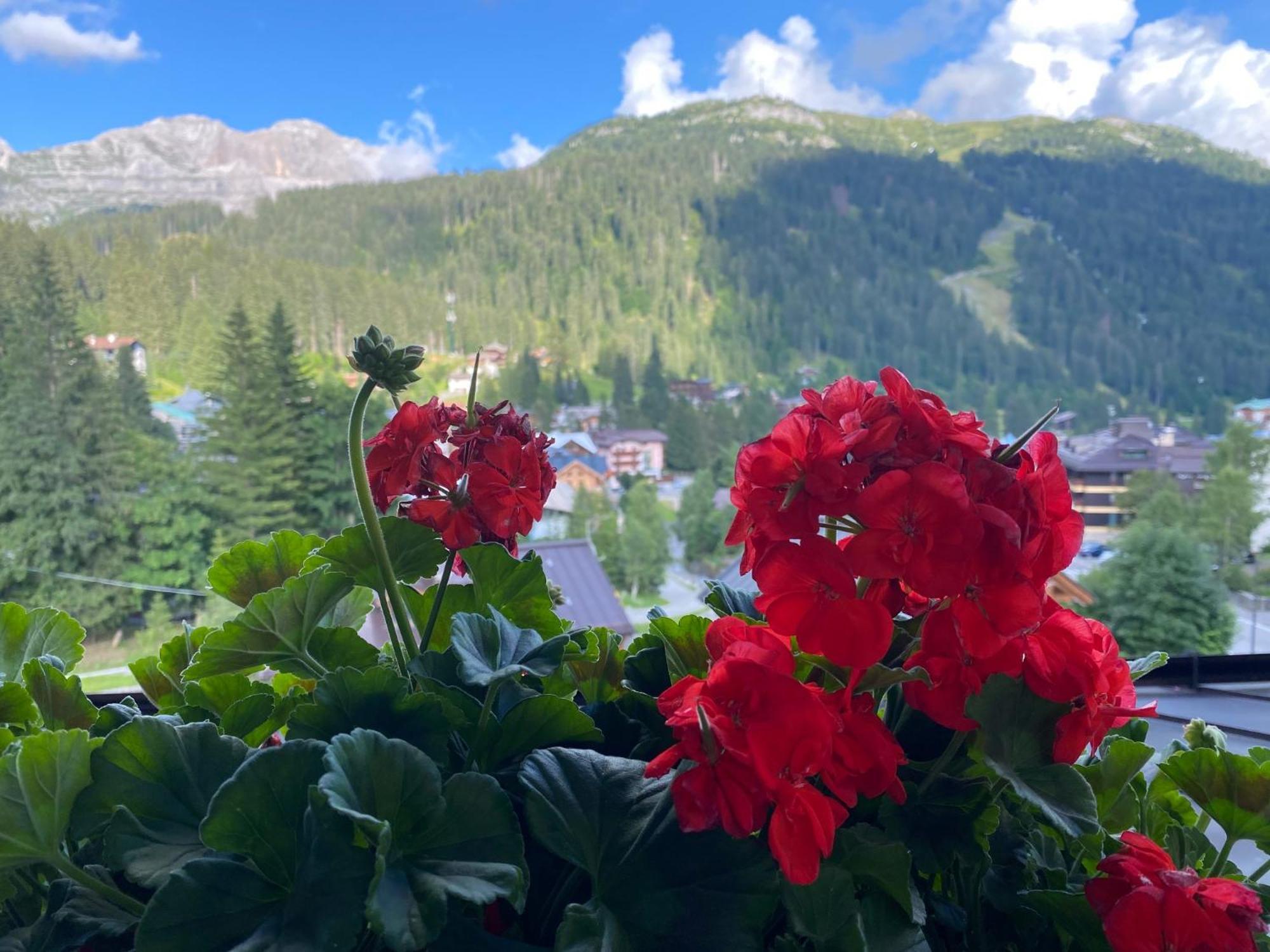 Hotel Dahu